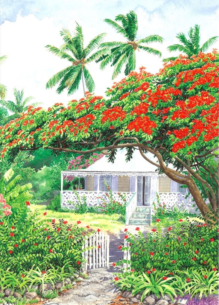Naturalistic coastal garden with agave, flowering shrubs and a mature tree, designed by The Garden Crew near Kilifi
